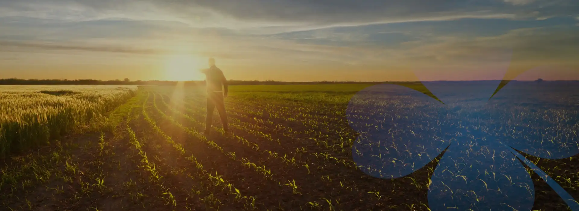 La agricultura parte de nuestro diario vivir