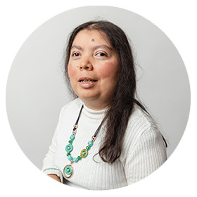 Aylin Castro Araya, Diputación por el  Partido Esperanza Nacional (2025-2029)